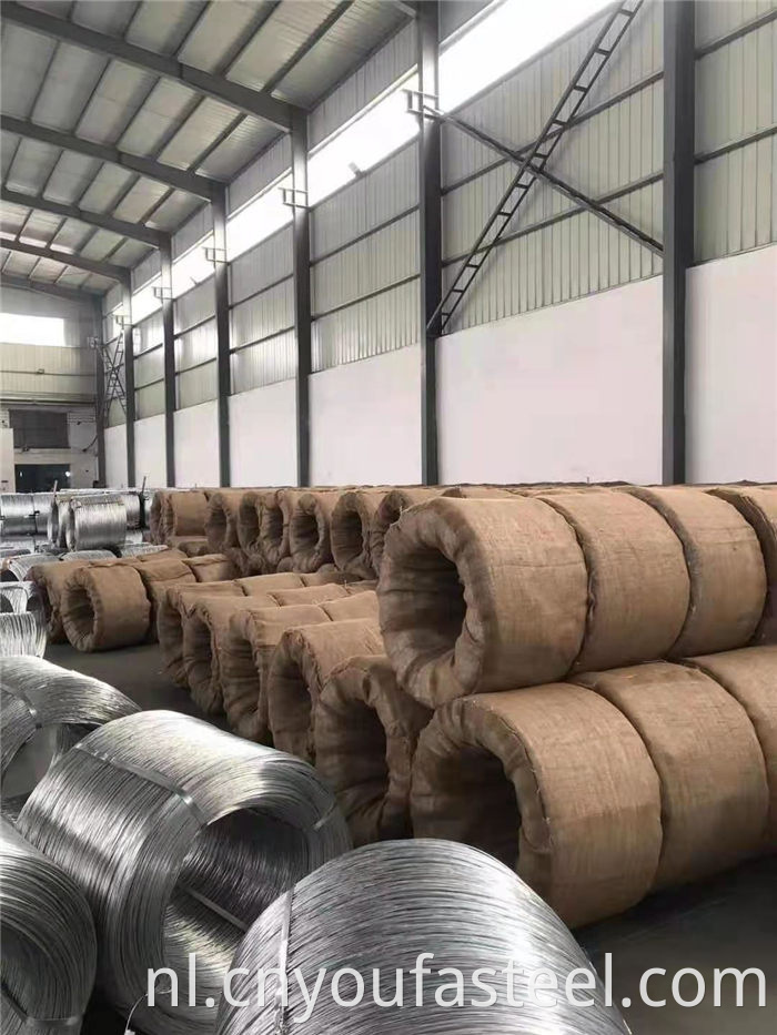 Galvanized Iron Wire